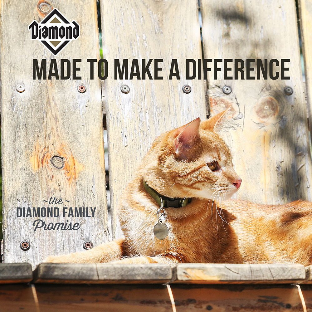 Diamond Maintenance Cat - Pet Merit StoreDiamond Maintenance Cat