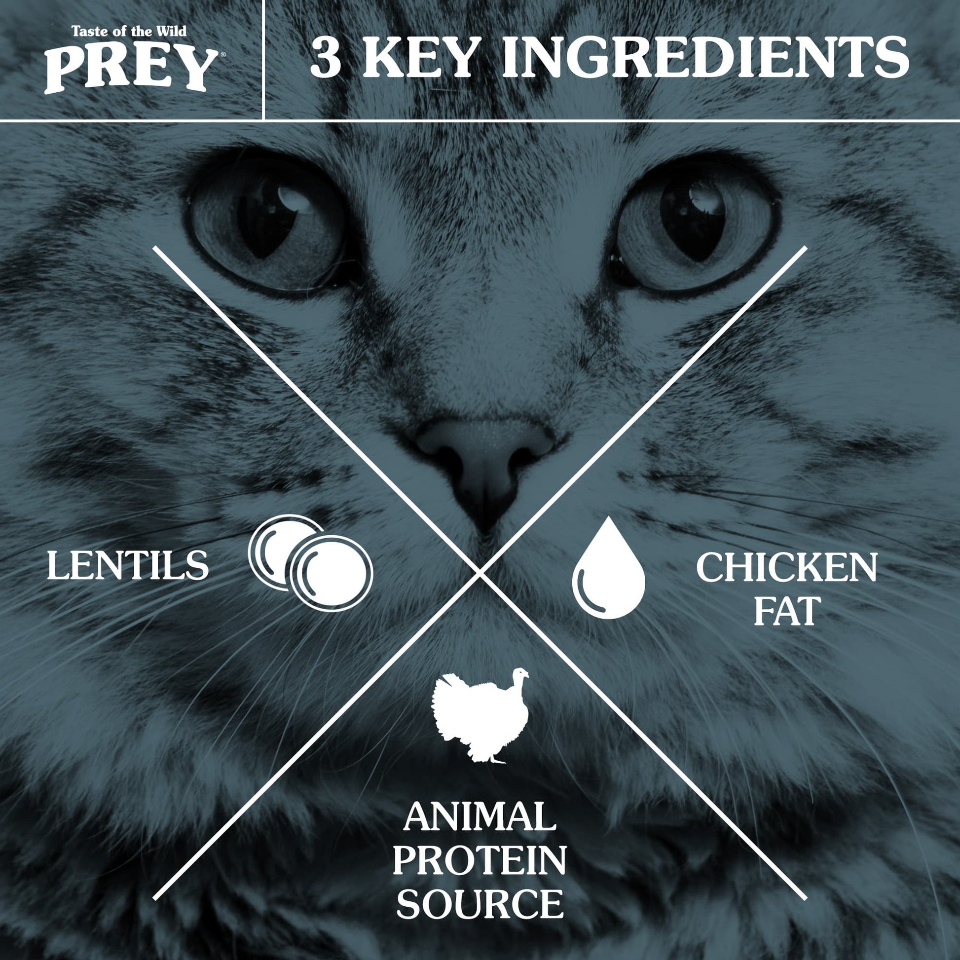 Taste of the Wild PREY Turkey Limited Ingredient Recipe for Cats - Pet Merit StoreTaste of the Wild PREY Turkey Limited Ingredient Recipe for Cats